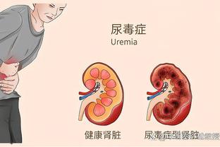 半岛网站手机登陆截图3